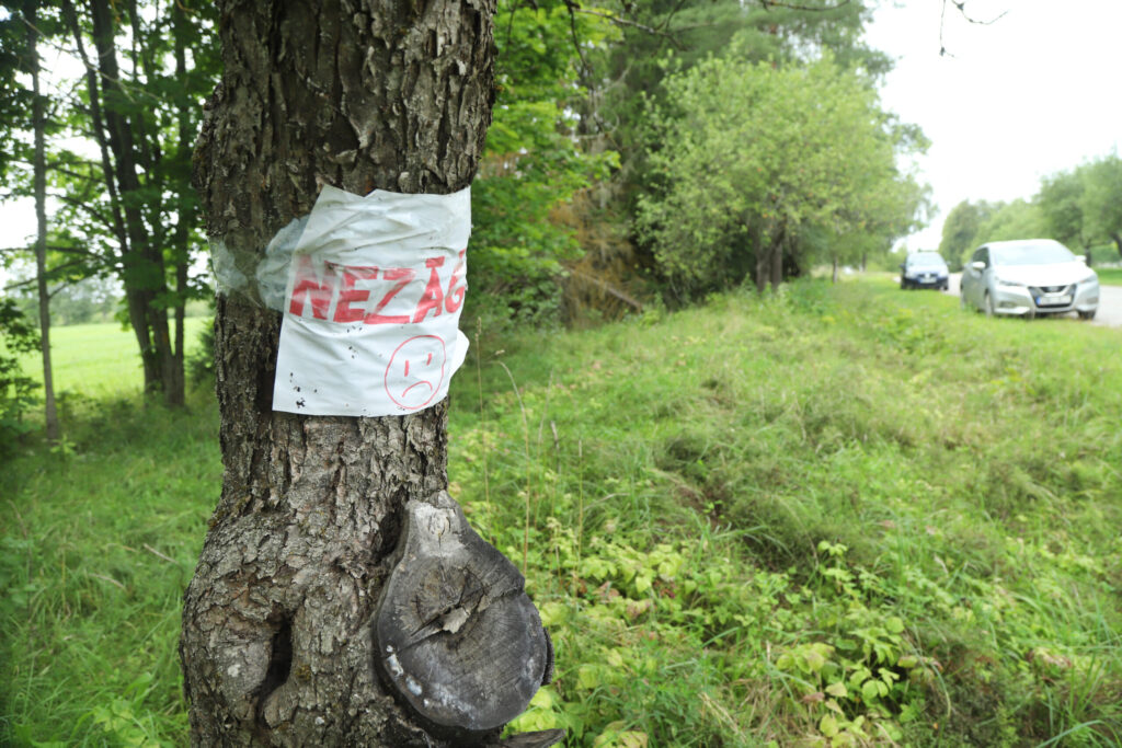 Dzirkstele.lv raksta attēla aizvietotājs