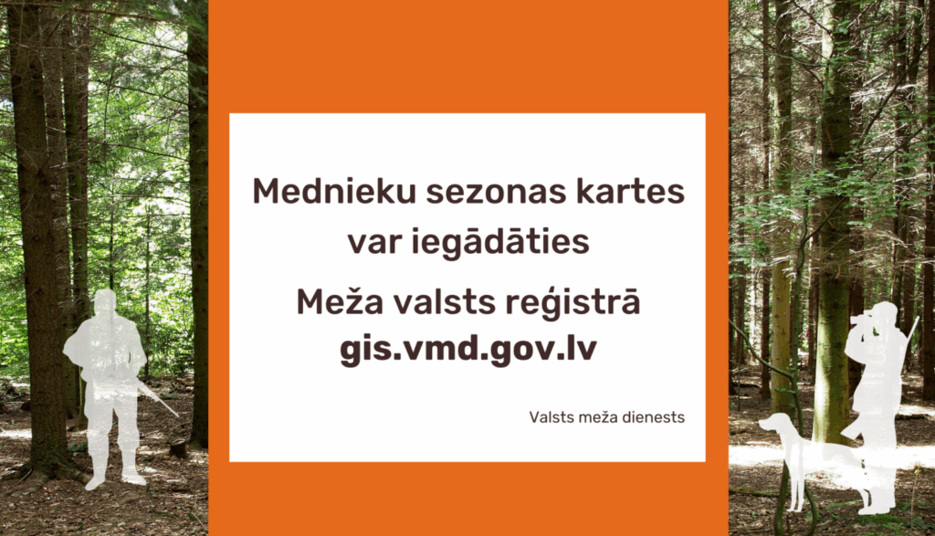 Dzirkstele.lv raksta attēla aizvietotājs