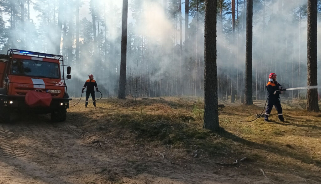 Dzirkstele.lv raksta attēla aizvietotājs