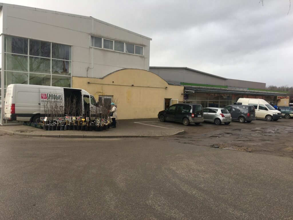 Dzirkstele.lv raksta attēla aizvietotājs