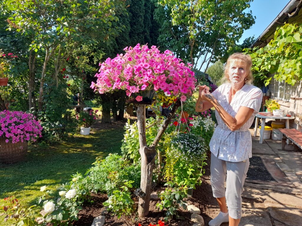 Dzirkstele.lv raksta attēla aizvietotājs