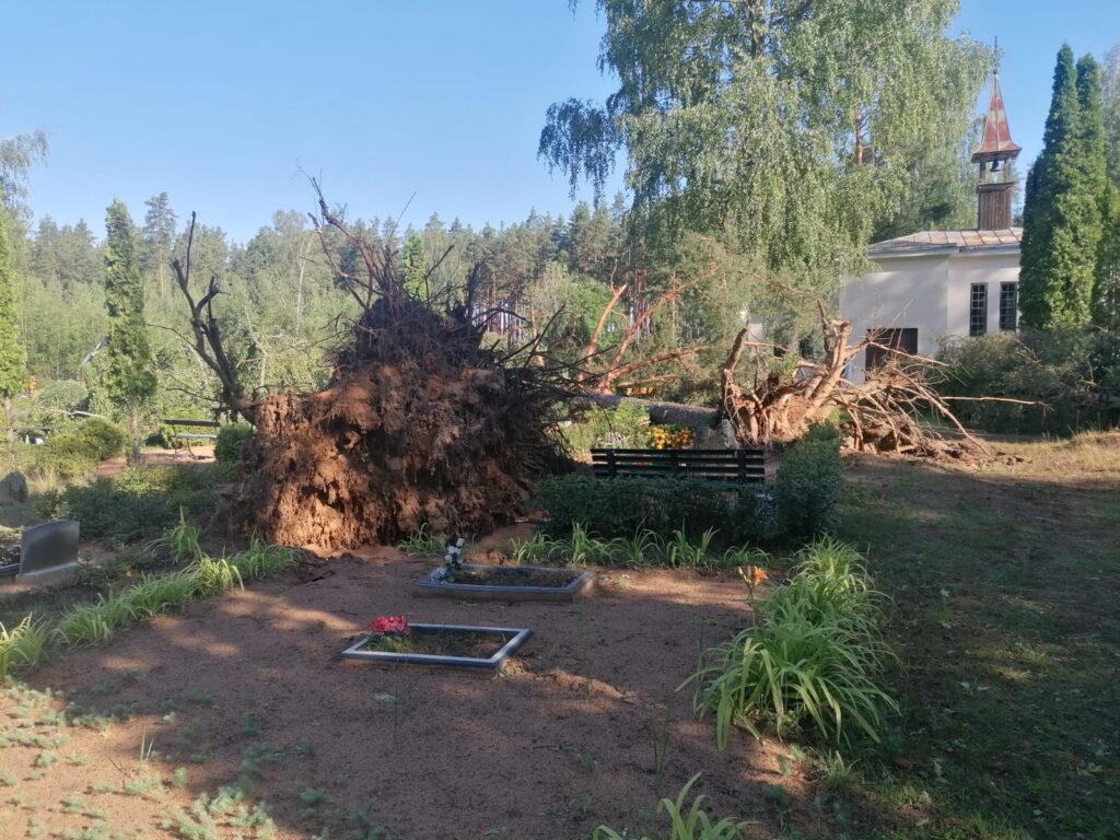 Lizuma Sila kapi.
Autors: Foto: no privātā arhīva
