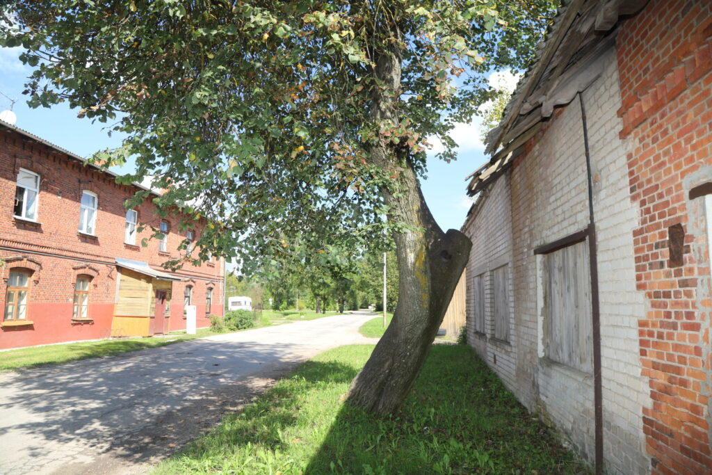 Dzirkstele.lv raksta attēla aizvietotājs