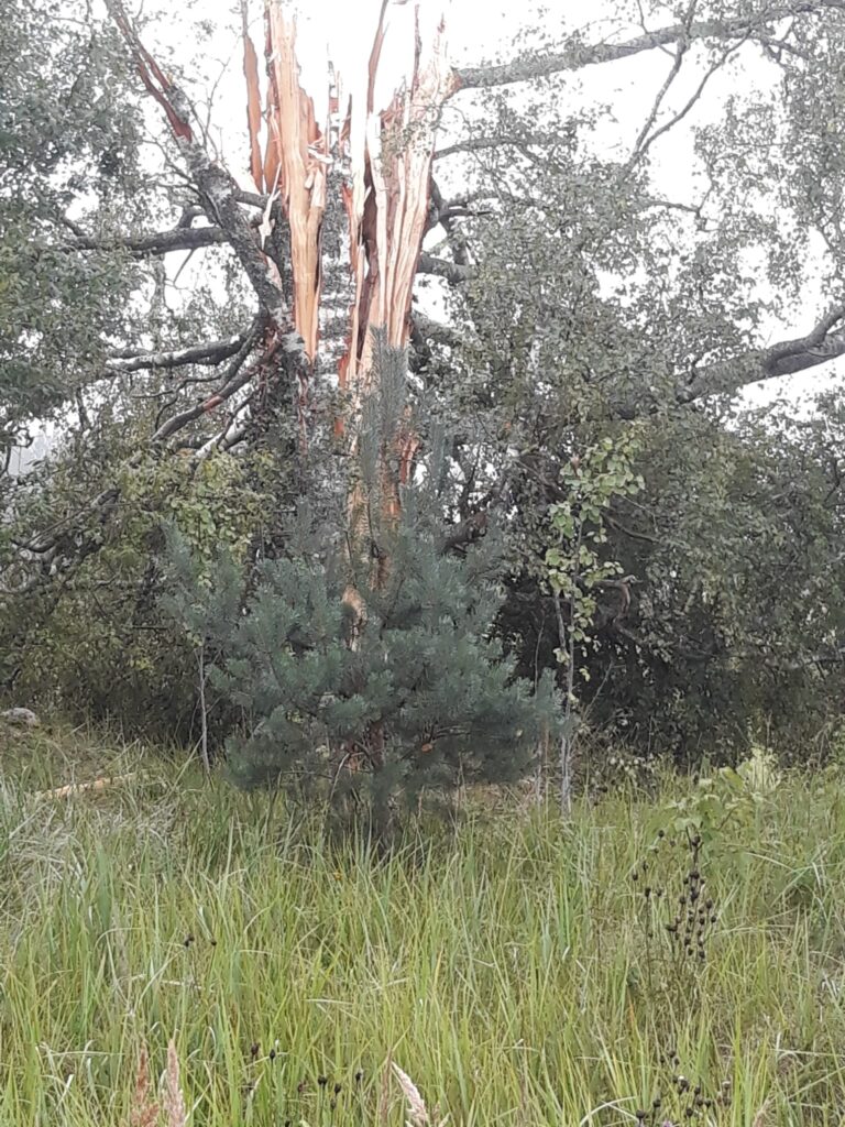Dzirkstele.lv raksta attēla aizvietotājs