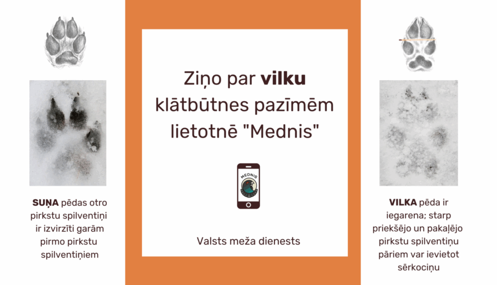 Dzirkstele.lv raksta attēla aizvietotājs